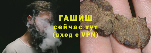 твердый Долгопрудный