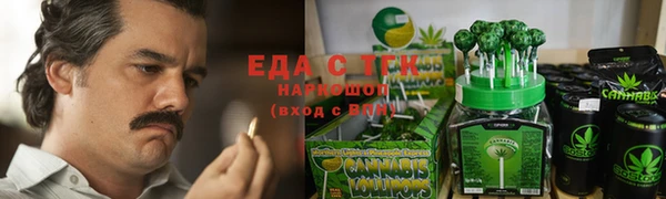 твердый Долгопрудный