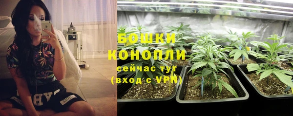 твердый Долгопрудный