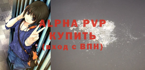 тгк Бердск
