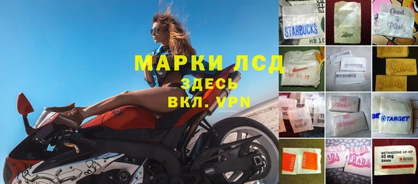 твердый Долгопрудный